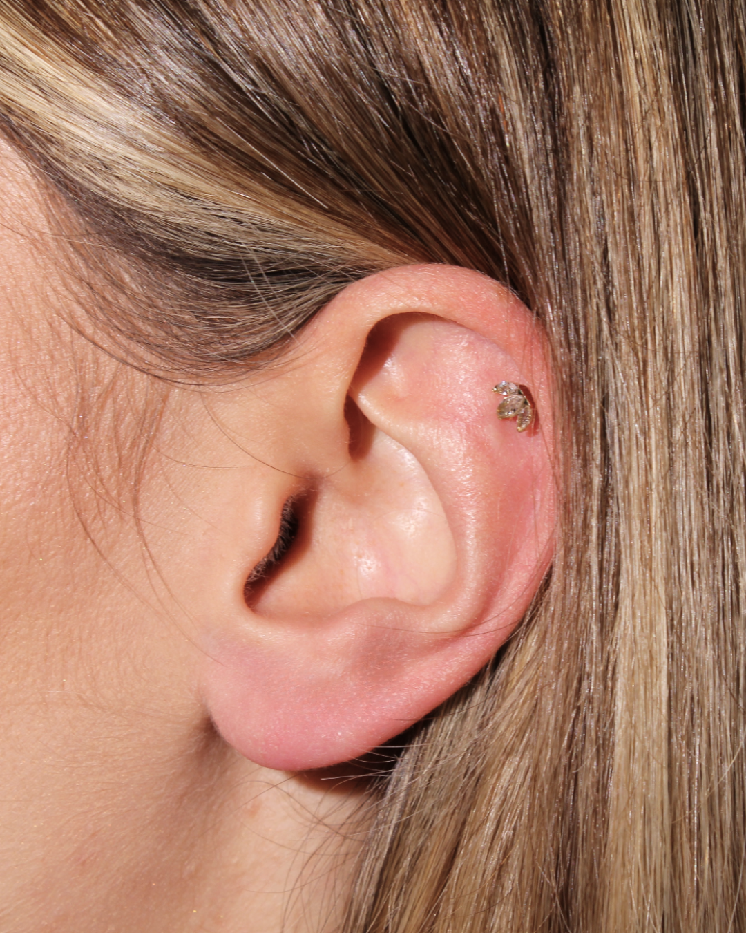 Rosa | Piercing en acier inoxydable et zircons