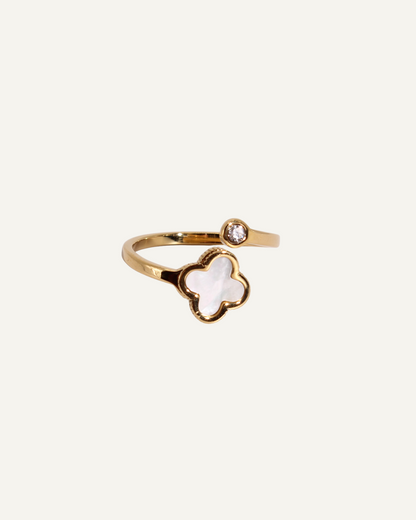 Victoria | Bague en acier inoxydable